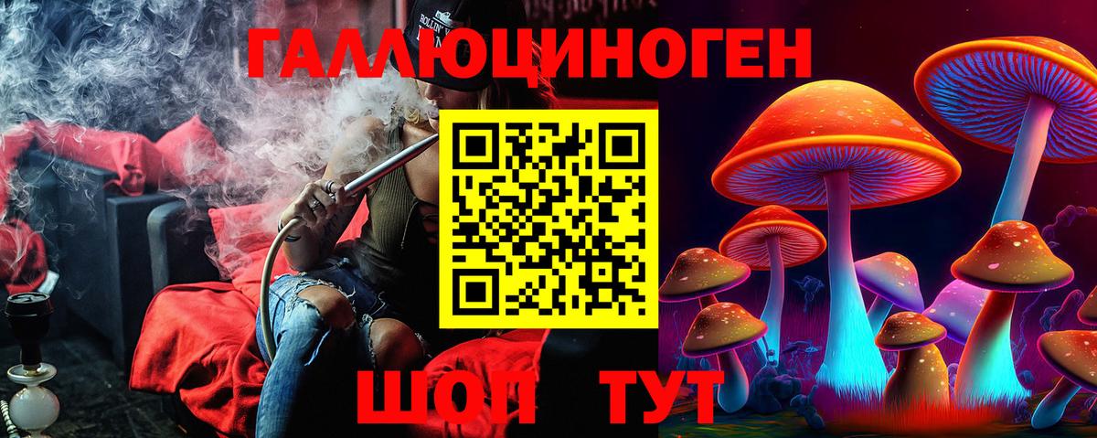 Галлюциногенные грибы GOLDEN TEACHER Зима
