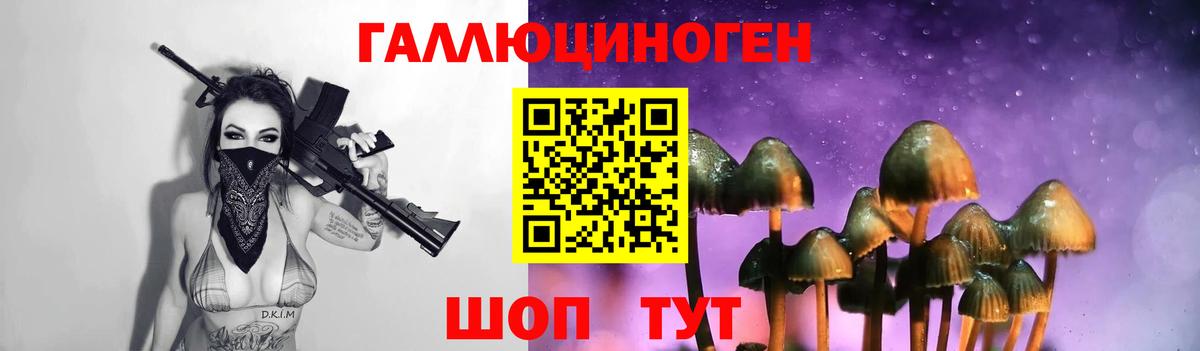 Зима  Галлюциногенные грибы прущие грибы  Галлюциногенные грибы MAGIC MUSHROOMS  купить  сайты  Вход с VPN 